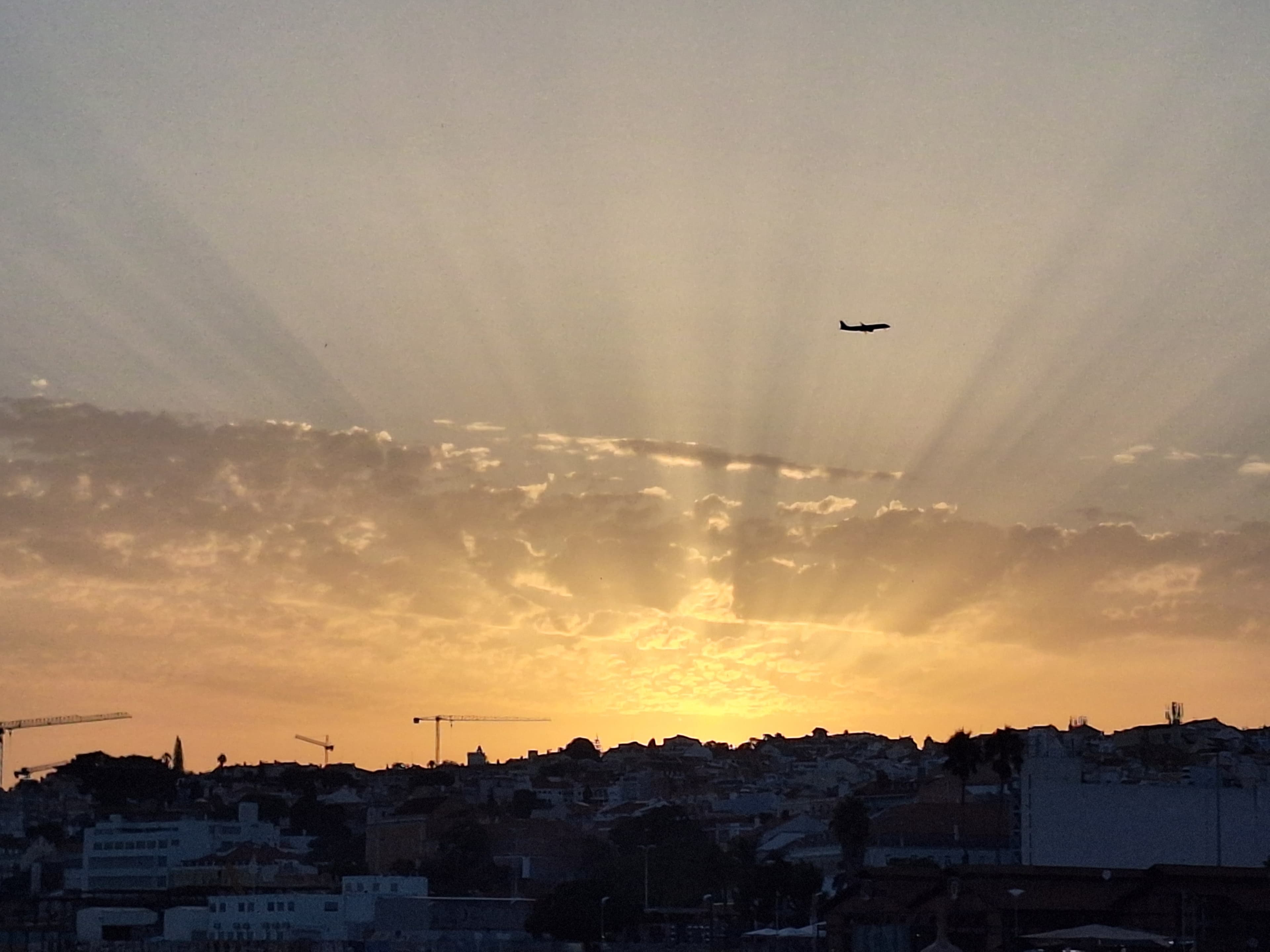Het late, bruisende zomerleven
