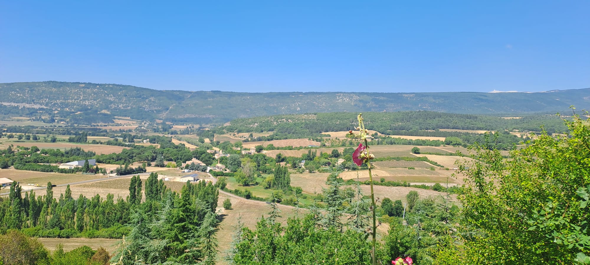 Zomerlandschap - Mont Ventoux Bodem Uitzicht
