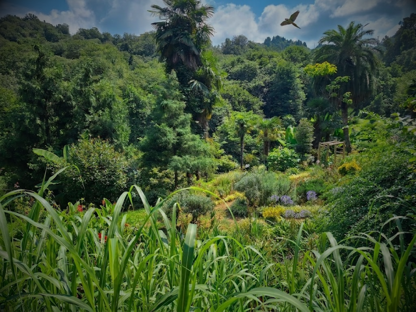Tbilisi Tropical Gardens