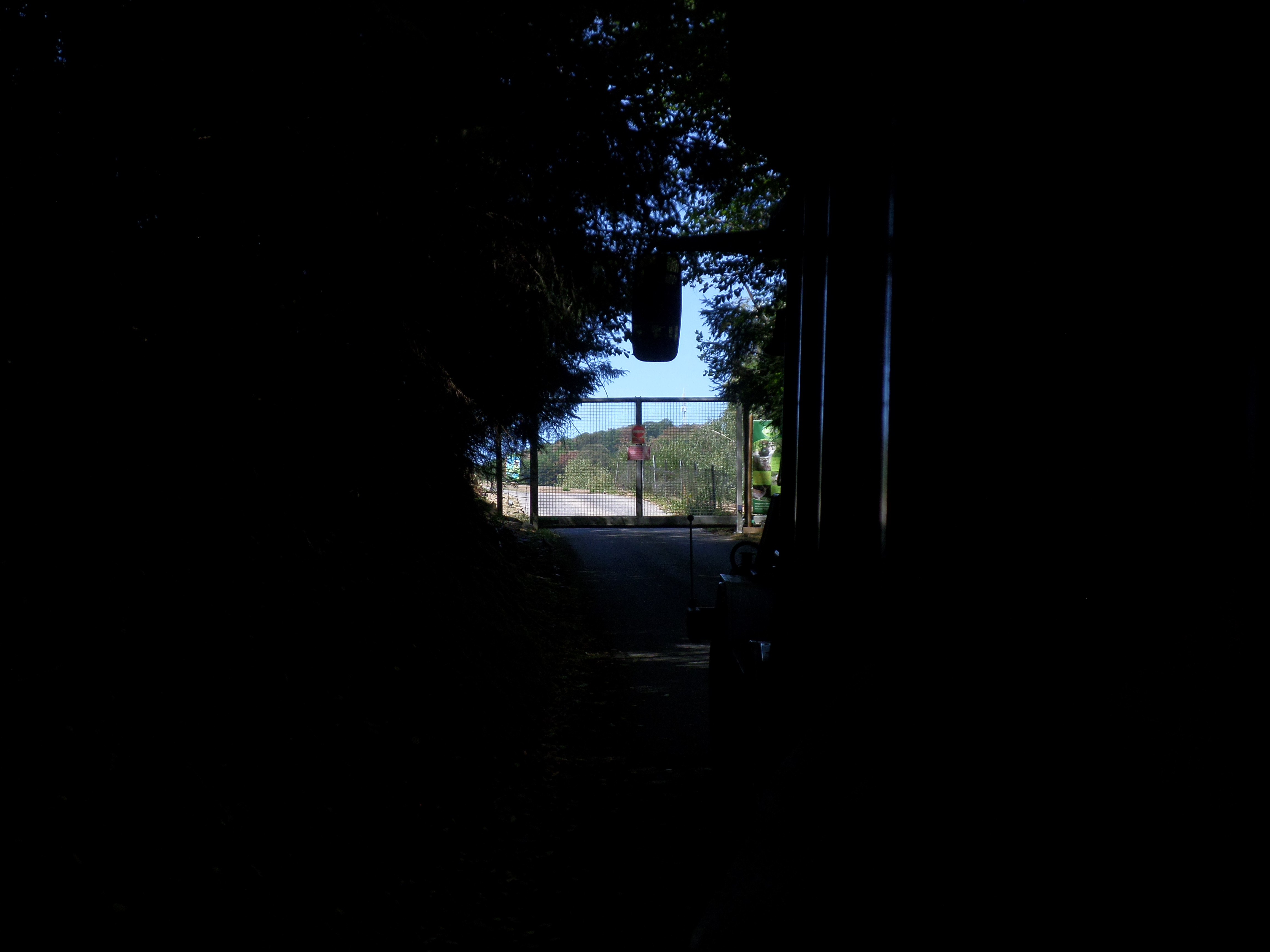 Het licht
