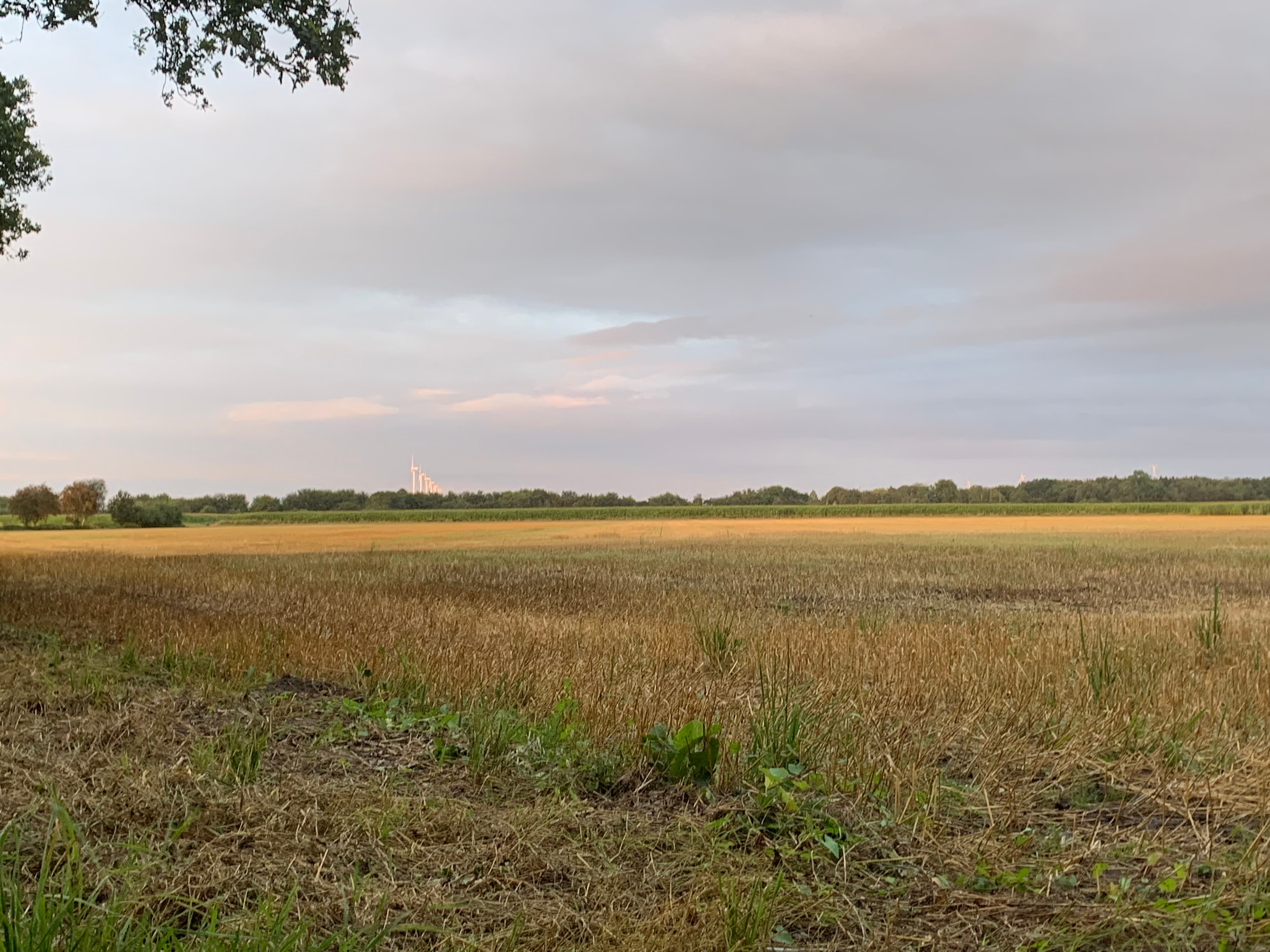 Het mooie landschap van Drenthe