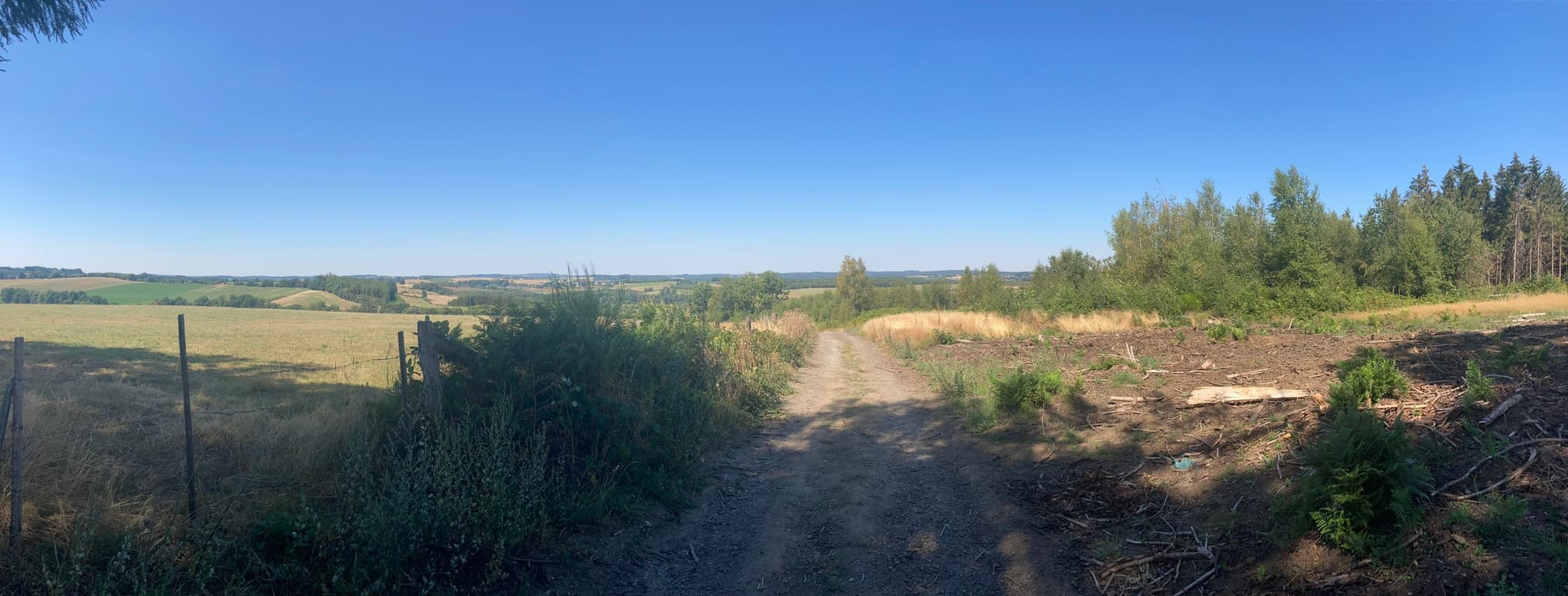 Landschap van omgeving Neufchateau