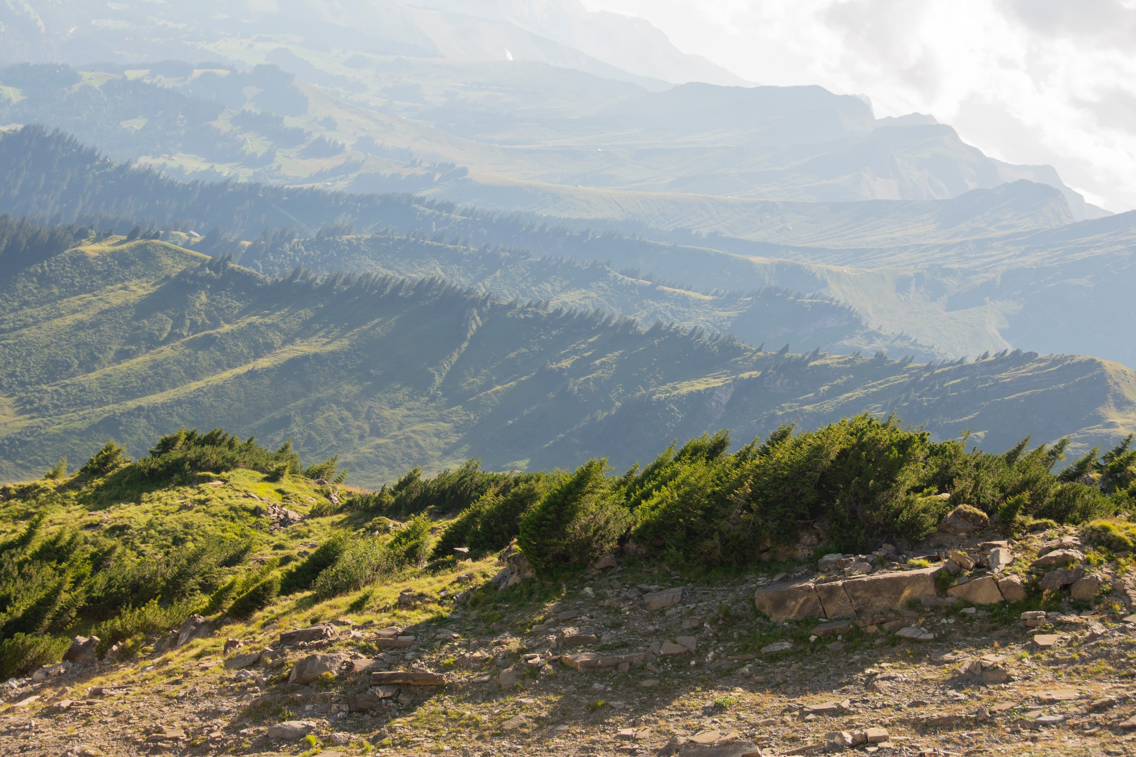 Layers of the landscape