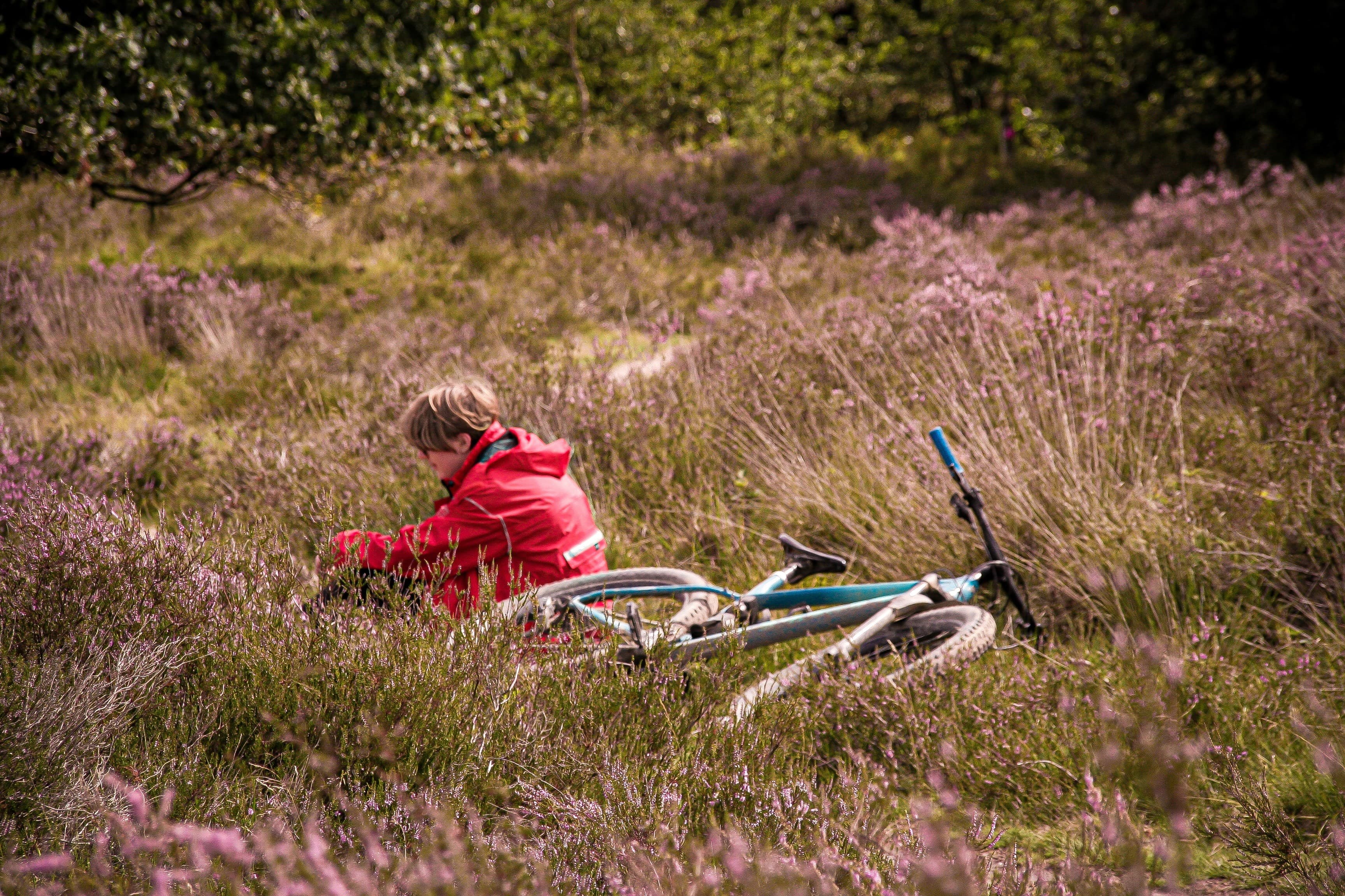Zomer op Ermelose heide